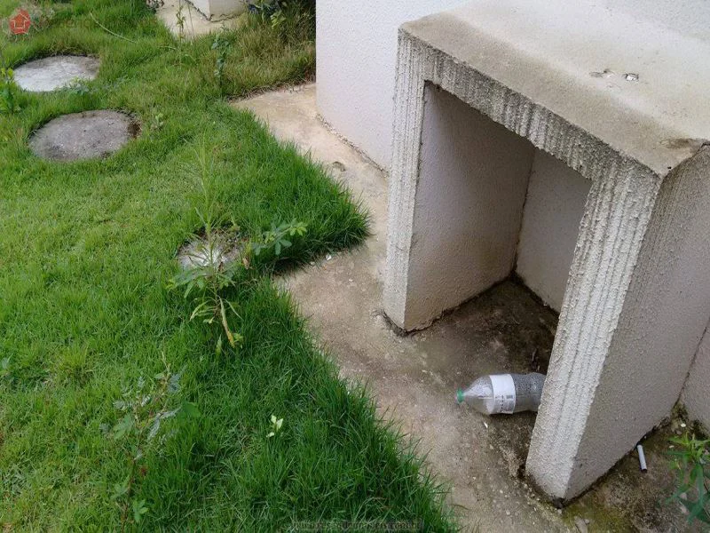 Foto 11 de 21 - Casa para aluguel em Nova Alegria